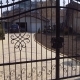 balustrade, scari, inox pentru exterior, bullbar - vicinox.ro